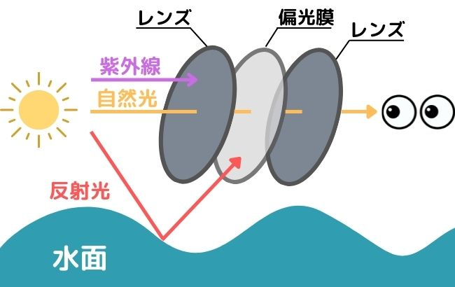 偏光レンズの仕組み